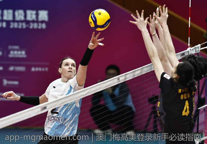 澳门梅高美登录新手必读指南