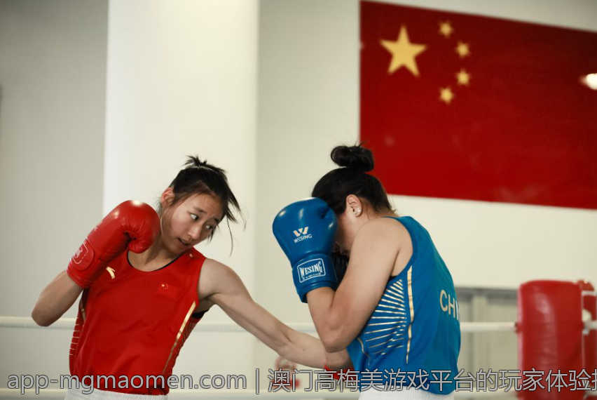 澳门高梅美游戏平台的玩家体验指南